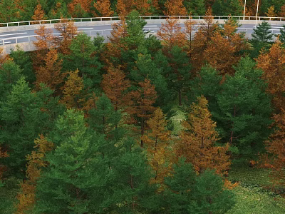 Arbor Trees With Green And Yellow Leaves Lining Road In Natural Scenery 3d model