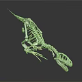 Detailed Dinosaur Skeleton 3D Model With Realistic Anatomical Structure And Scientific 3d model