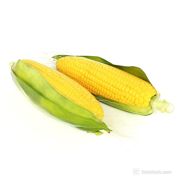 Fresh Yellow Corn With Green Leaves And Plump Kernels On White Background 3d model 