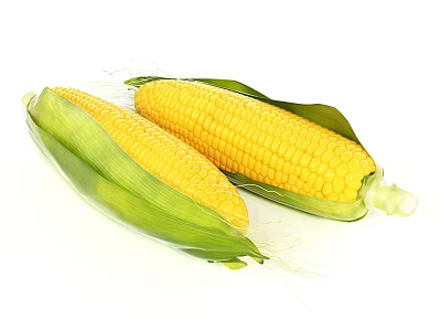 Fresh Yellow Corn With Green Leaves And Plump Kernels On White Background 3d model