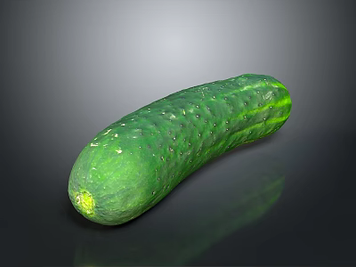 Fresh Green Cucumber with Small Spines Smooth Skin and Juicy Texture 3d model