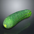 Fresh Green Cucumber with Small Spines Smooth Skin and Juicy Texture