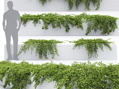 Modern Vine 3d model