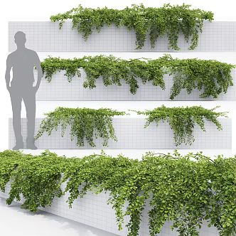 Modern Vine 3d model