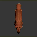 Game Movie Character Orange Dog with Fluffy Fur in Standing Pose on Dark Background