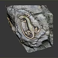Reptile Lizard Resting on Natural Rock Surface with Detailed Texture in Habitat