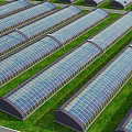 Aerial View Planning of Agricultural Area With Organized Farmland Greenhouses Water Pond and Paths
