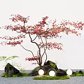 Plant Combination With Red Leaf Tree Ferns Stones Moss And Glowing Lights
