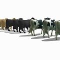 Modern cattle group animals and 3d model