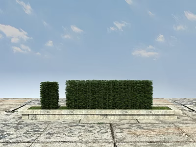 Bamboo Hedges With Low Stone Platform On Open Ground Under Blue Sky And White Clouds 3d model