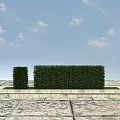 Bamboo Hedges With Low Stone Platform On Open Ground Under Blue Sky And White Clouds