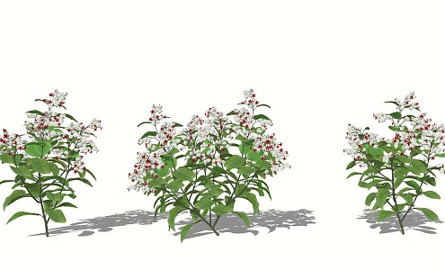 LongTuzhu shrub cover with flowers and plants 3d model