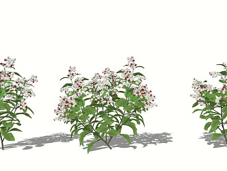 LongTuzhu shrub cover with flowers and plants 3d model