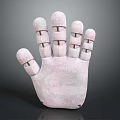 Pink Human Hand Organ 3D Model With Segmented Joints On Black Background 3d model