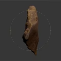 Ancient Ammonite Fossil With Spiral Structure And Detailed Shell Texture
