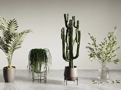 potted plant green plant flowers and plants pile 3d model