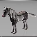 3D Rendered Standing Horse With Long White Mane Gray White Body And White Hooves