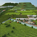 Lush Terraced Agricultural Fields With Greenhouses River And Surrounding Hills