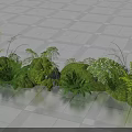 Decorative Lush Green Mixed Plants Floral Arrangement Neatly Arranged On Gray Floor Tiles