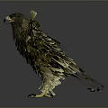 Golden Eagle with Spread Wings and Shiny Feathers on Dark Background