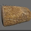 Plant Painting Showcasing Detailed Natural Straw Bale With Textured Surface