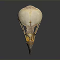 Detailed Bird Skull Anatomical Structure With Cranial Bone Features And Skeleton Details 3d model