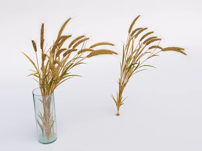 Dried Wheat Grass Flower Bouquets In Transparent Glass Vase And Loose Placement 3d model