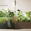 Modern Plant Combination Featuring Ferns Green Foliage Wooden Planters And Black Pots
