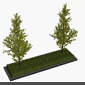 Rectangular Tree Pit With Gray Border Two Green Trees And Lush Grass Cover 3d model