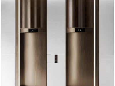 Modern Bronze Toned Elevators With Sleek Design 3d model