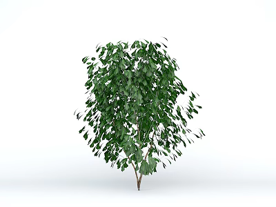 Lush Green Arbor With Dense Foliage And Brown Trunk In White Background 3d model