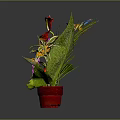Colorful Plant With Red Flowers Purple Orchids Yellow Leaves Green Foliage And Red Pot