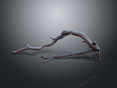 Curved Dried Tree Branch With Twisted Shape And Branches On Dark Background 3d model