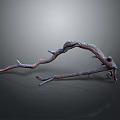 Curved Dried Tree Branch With Twisted Shape And Branches On Dark Background