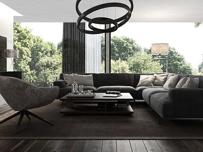 Modern beautiful living room model