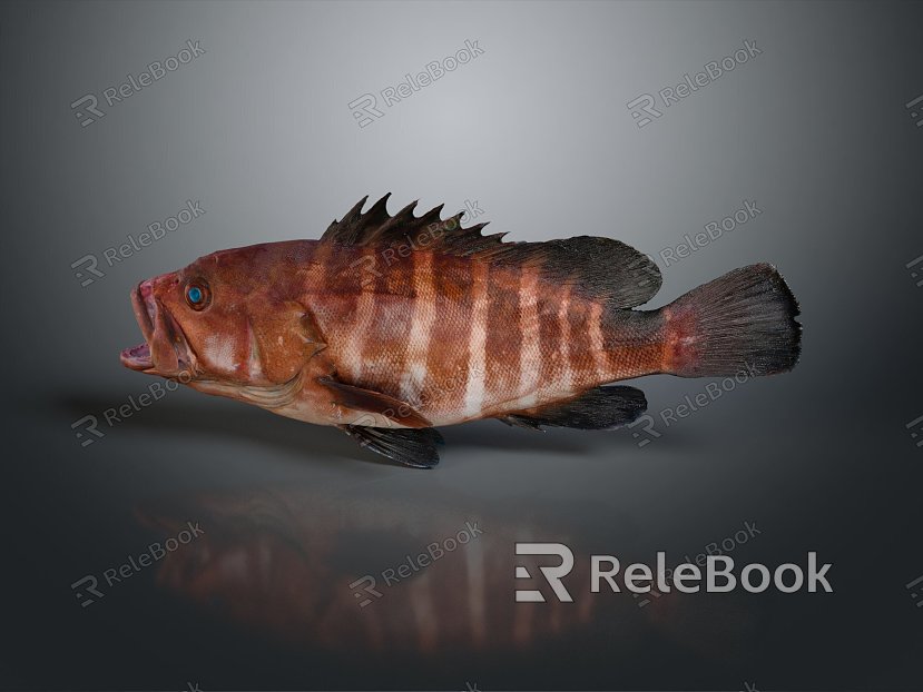 modern fish freshwater fish marine fish animal model