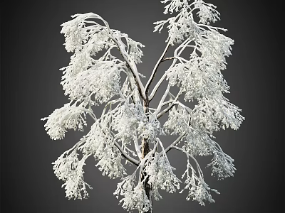 Snow Covered Arbor Tree With Frosty White Branches In Winter Scene 3d model