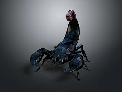 Five Striped Scorpion Karoleni Scorpion Italian Scorpion Mexican Scorpion Soves Scorpion East Asian Piners Scorpion 3d model