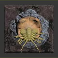 Hatching Baby Animal From Cracked Egg With Yellow Orange Interior And Net Like Base Structure