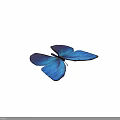 Vibrant Blue Butterfly With Iridescent Wings Casting Soft Shadow on Neutral Background