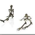 3D Rendered Human Skeleton Models Displaying Sitting And Lying Organ Structures