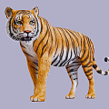 The Modern Tiger 3d model