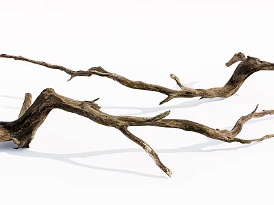 Rustic Stone Wood Dry Branches With Weathered Texture And Natural Curved Shape 3d model