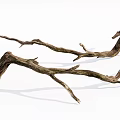 Rustic Stone Wood Dry Branches With Weathered Texture And Natural Curved Shape