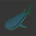 whale cartoon whale mammal marine mammal marine animal fish freshwater fish marine fish 3d model