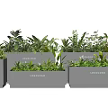 Gray Rectangular Planters with Various Green Plants Featuring Logo Design 3d model