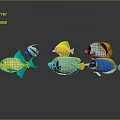 Colorful Tropical Fish in Vibrant Yellow Blue Green Hues on Gray Background with Clear Reflections