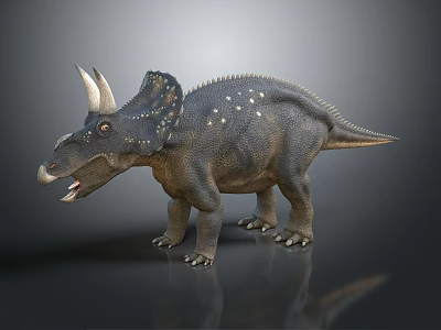 Realistic Triceratops 3D Model With Horns Scaly Skin And Open Mouth Stance 3d model