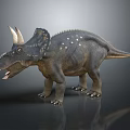 Realistic Triceratops 3D Model With Horns Scaly Skin And Open Mouth Stance