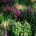 Vibrant Park Garden Landscape With Pink And White Flowers Lush Green Grass And Foliage